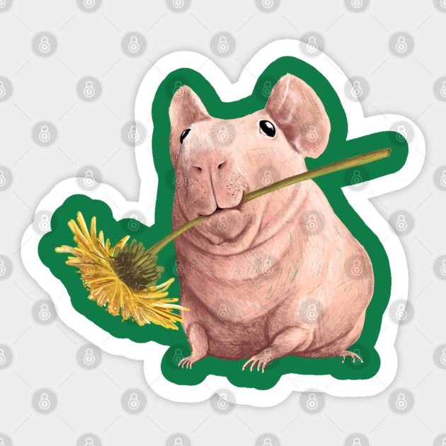 Naked Guinea Pig Sticker by Sophie Corrigan